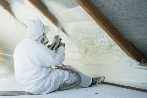 Best Basement Insulation  in Poteet, TX